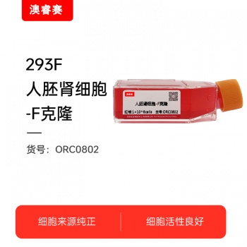 293F 人胚肾细胞-F克隆