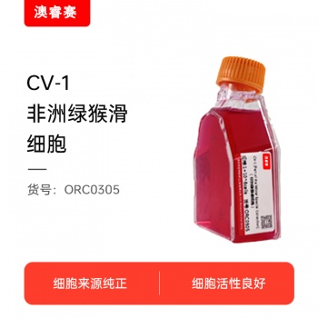 CV-1 [Part of the Wistar Special Collection]（非洲绿猴肾细胞）