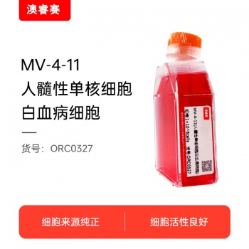 MV-4-11人髓性单核细胞白血病细胞