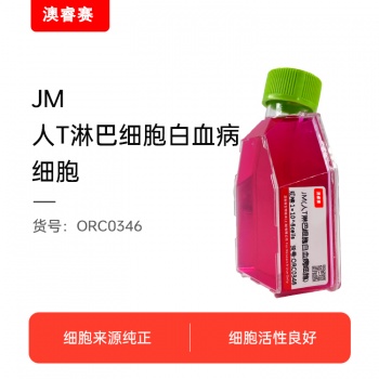 JM人T淋巴细胞白血病细胞