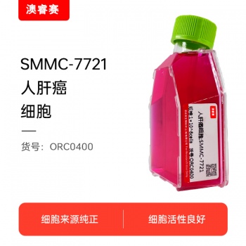 SMMC-7721  人肝癌细胞