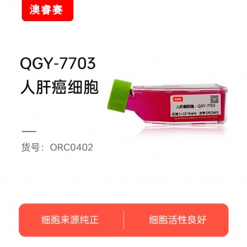 QGY-7703  人肝癌细胞