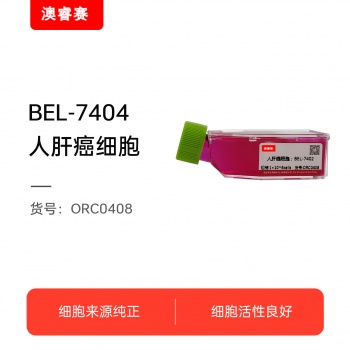 BEL-7402  人肝癌细胞