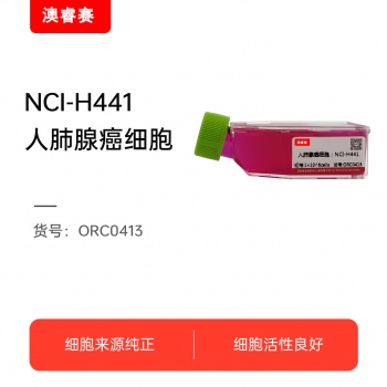 NCI-H441  人肺腺癌细胞