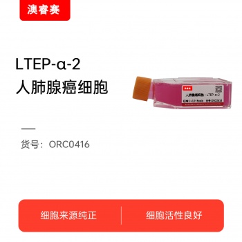 LTEP-a-2  人肺腺癌细胞