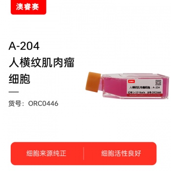 A-204 人横纹肌肉瘤细胞