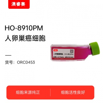 HO-8910PM 人卵巢癌细胞