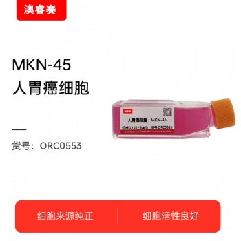 MKN-45人胃癌细胞