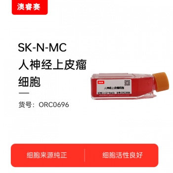 SK-N-MC   人神经上皮瘤细胞