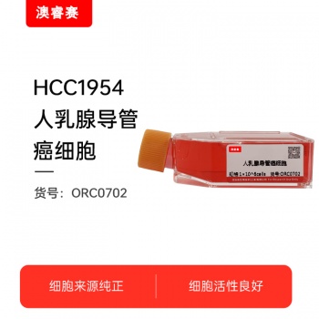 HCC1954（人乳腺导管癌细胞）