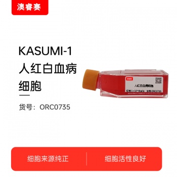 KASUMI-1  人红白血病细胞