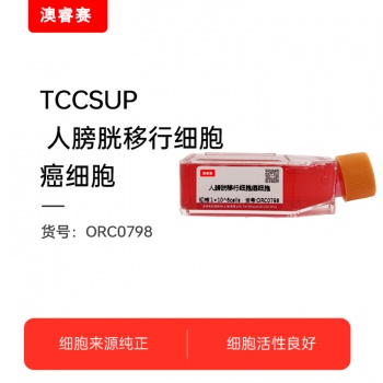 TCCSUP 人膀胱移行细胞癌细胞