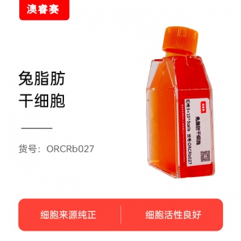 兔脂肪干细胞