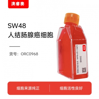 SW48;人结肠腺癌细胞