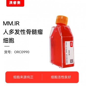 MM.IR 人多发性骨髓瘤细胞