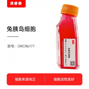 兔胰岛细胞