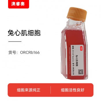 兔心肌细胞
