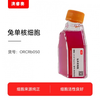 兔单核细胞