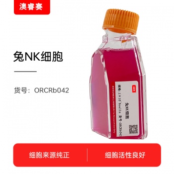 兔NK细胞