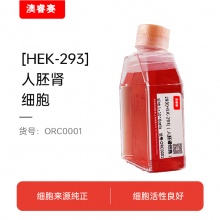 293 HEK-293（人胚肾细胞）