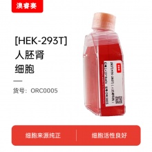 293T   HEK-293T （人胚肾细胞）