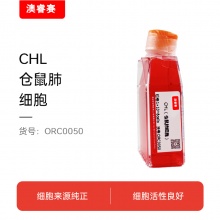 CHL（仓鼠肺细胞）