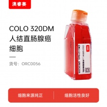 COLO 320DM（人结直肠腺癌细胞）