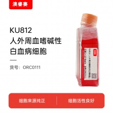 KU812（人外周血嗜碱性白血病细胞）
