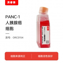 PANC-1（人胰腺癌细胞）