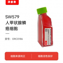 SW579 [SW 579; SW-579]（人甲状腺鳞癌细胞）