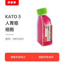 KATO III [KATO 3]（人胃癌细胞）