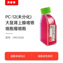 PC-12未分化（大鼠肾上腺嗜铬细胞瘤细胞（未分化））