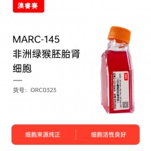 MARC-145 [Marc-145; Marc 145; Marc145]（非洲绿猴胚胎肾细胞）