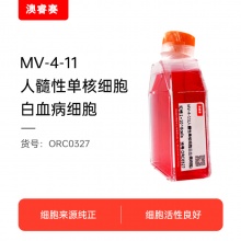 MV-4-11人髓性单核细胞白血病细胞