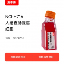 NCI-H716  人结直肠腺癌细胞