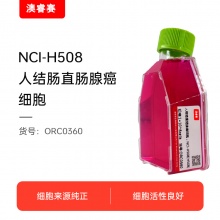 NCI-H508[H508]  人结肠直肠腺癌细胞