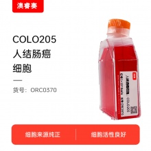 COLO205（人结肠癌细胞）