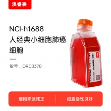 NCI-h1688  人经典小细胞肺癌细胞