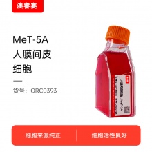MeT-5A  人膜间皮细胞
