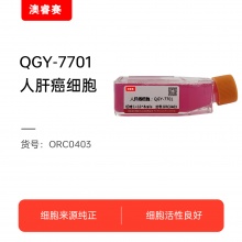QGY-7701  人肝癌细胞