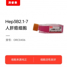 BEL-7404  人肝癌细胞