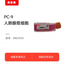 PC-9  人肺腺癌细胞
