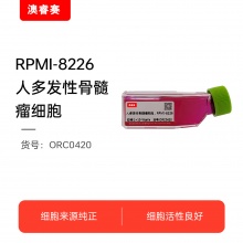 RPMI-8226  人多发性骨髓瘤细胞