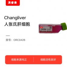 Changliver  人张氏肝细胞