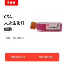 C3A  人永生化肝细胞