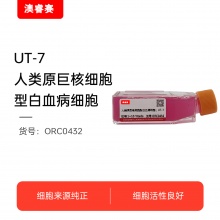 UT-7（人类原巨核细胞型白血病细胞）