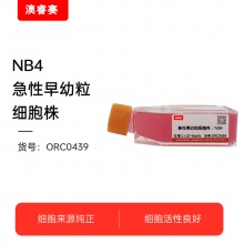 NB4急性早幼粒细胞株