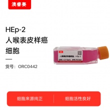 HEp-2 人喉表皮样癌细胞