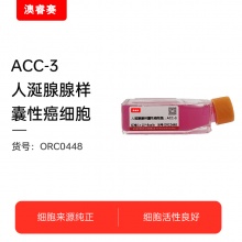 ACC-3 人涎腺腺样囊性癌细胞