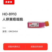 HO-8910 人卵巢癌细胞